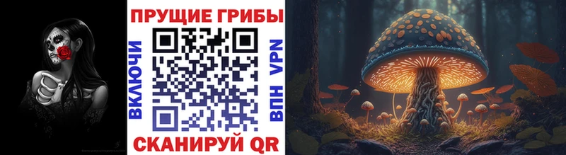 Псилоцибиновые грибы Cubensis  kraken рабочий сайт  Ханты-Мансийск  наркотики 