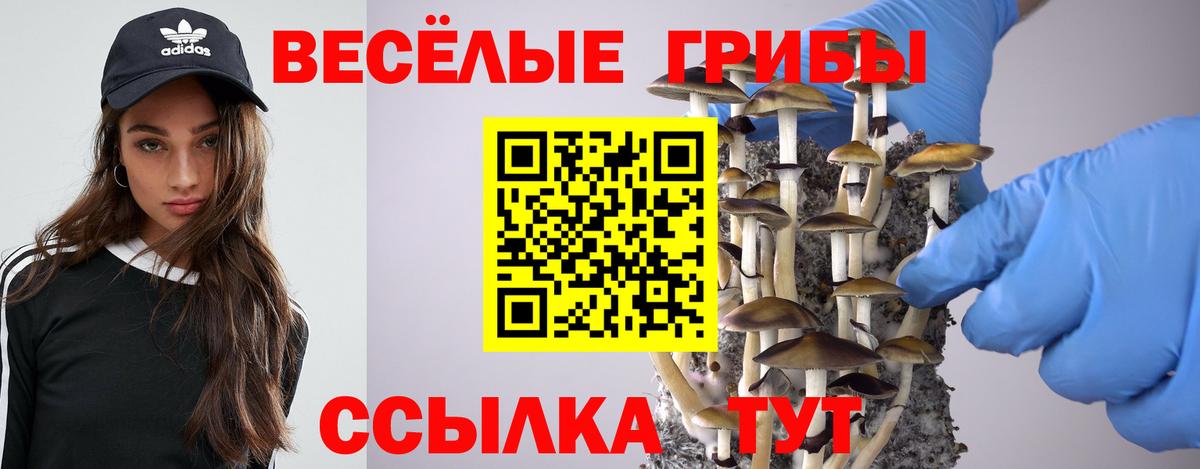 Ханты-Мансийск  Галлюциногенные грибы прущие грибы  Вход с VPN 